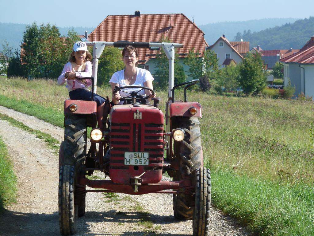 Landgasthof Zum Elsabauern Königstein in der Oberpfalz Exterior foto